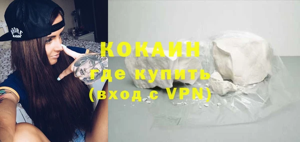 индика Алексеевка