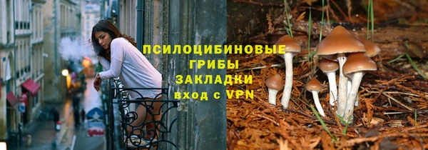 индика Алексеевка