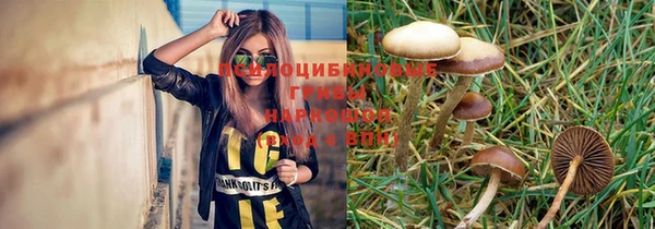 a pvp Алексин