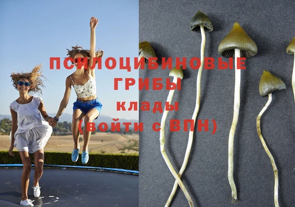 крисы Приозерск